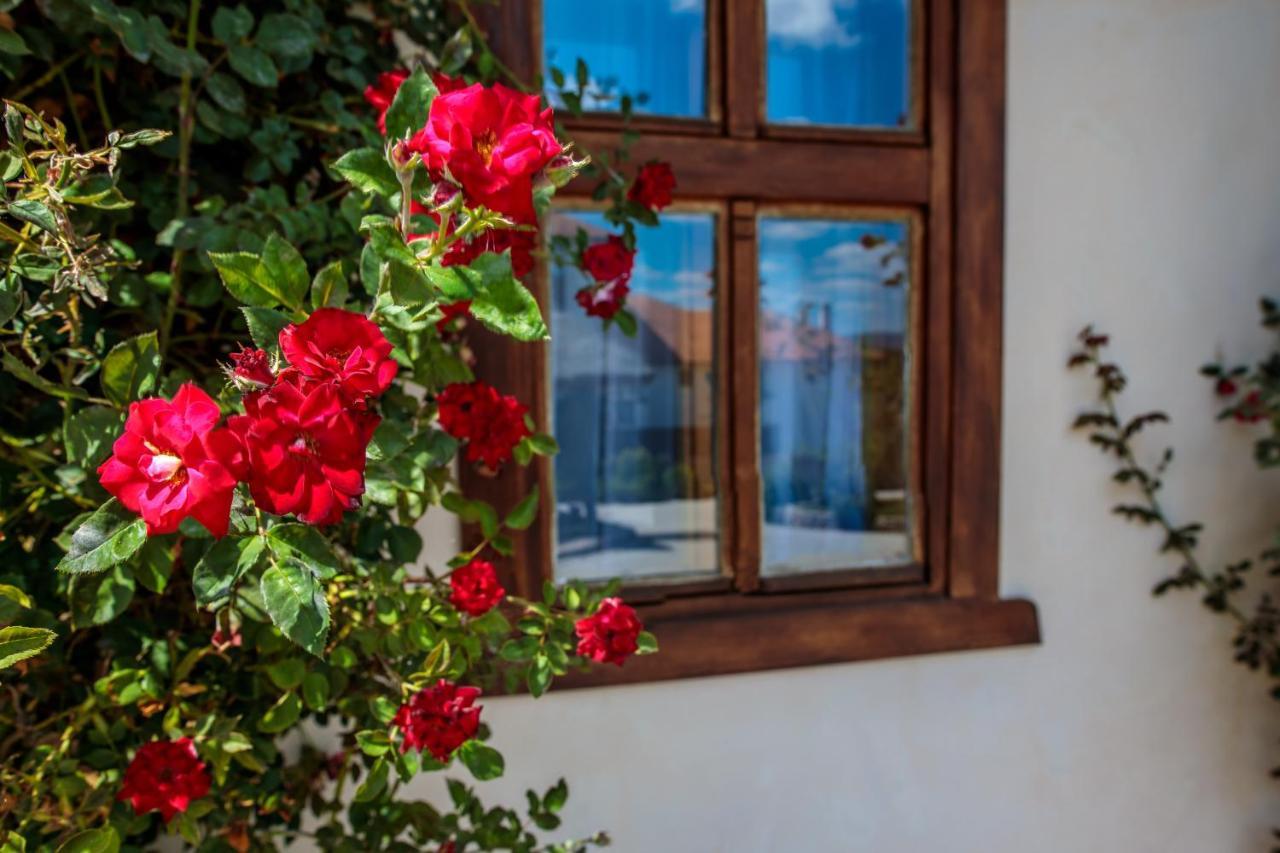 Woodland Resort Kragujevac Zewnętrze zdjęcie